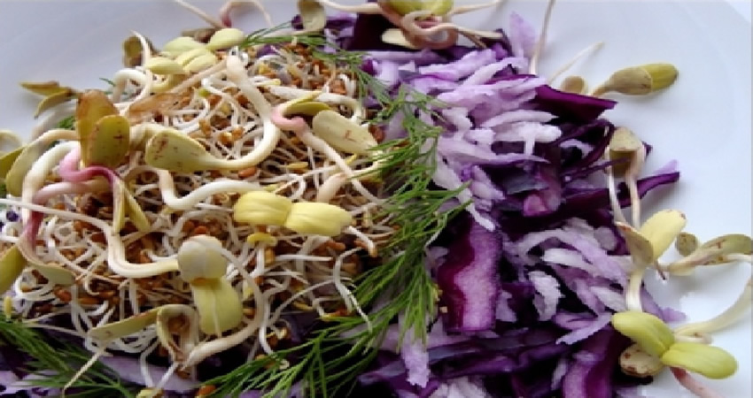 Salata de iarna cu varza si germeni