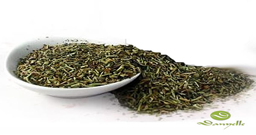 Herbes de Provence