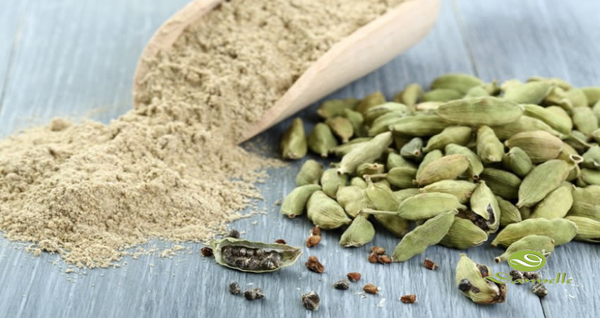 Cardamom